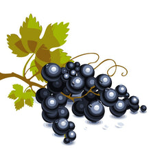 Cargar imagen en el visor de la galería, Pintar por números niños - Uva