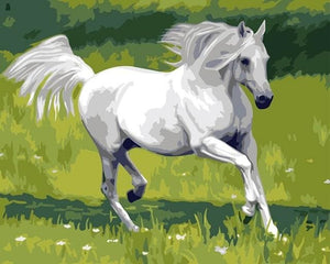 Pintar Por Números - Caballo Blanco - Figuredart - Animales Caballos