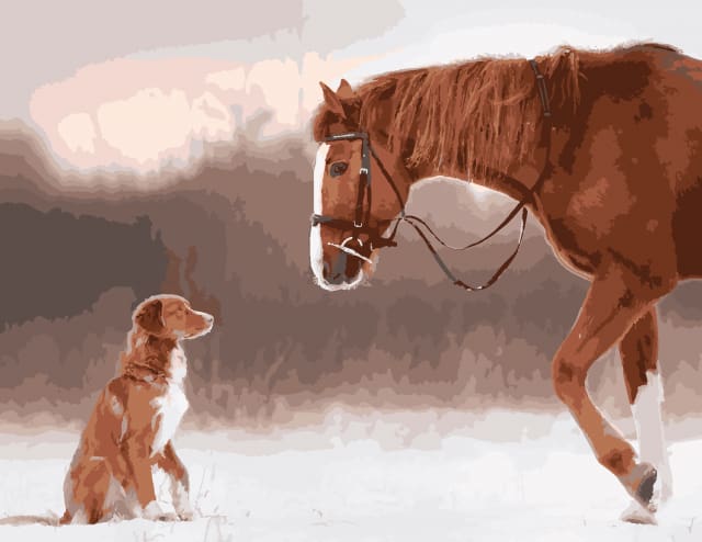 Pintar Por Números - Caballo Y Perro - Figuredart - Animales Caballos Perros