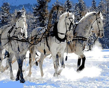 Cargar imagen en el visor de la galería, Pintar Por Números - Caballos En La Nieve - Figuredart - Animales Caballos