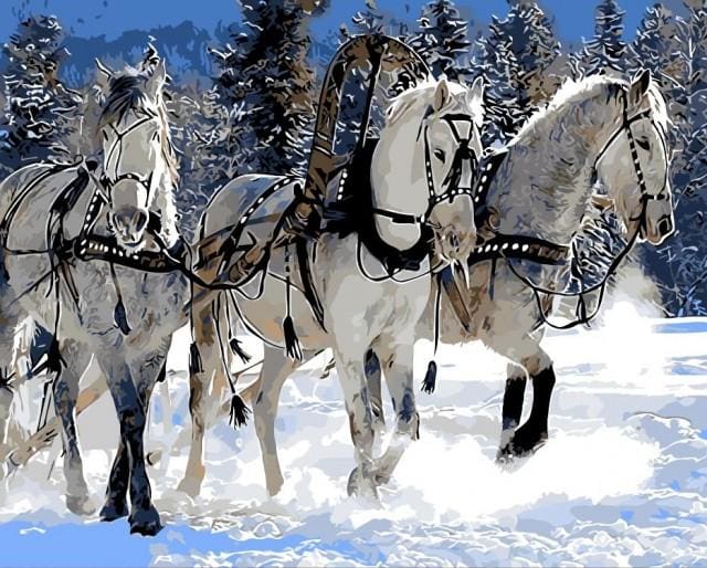 Pintar Por Números - Caballos En La Nieve - Figuredart - Animales Caballos