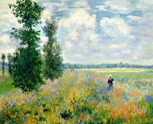 Cargar imagen en el visor de la galería, Pintar Por Números - Campo De Amapolas Monet - Figuredart - Paisajes