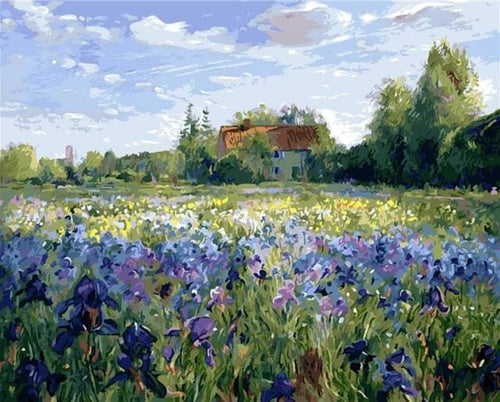 Pintar Por Números - Campo De Flores Azules - Figuredart - Paisajes