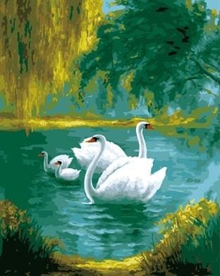 Pintar Por Números - Cisne - Figuredart - Animales