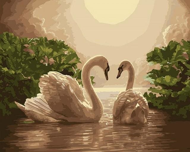 Pintar Por Números - Cisnes En El Atardecer - Figuredart - Animales