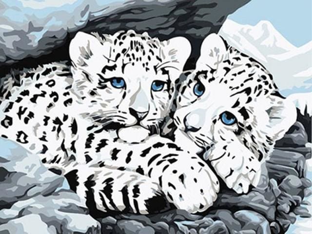 Pintar Por Números - Dos Leopardos Blancos - Figuredart - Animales