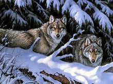 Cargar imagen en el visor de la galería, Pintar Por Números - Dos Lobos - Figuredart - Animales Lobos