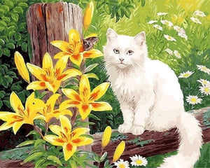 Pintar Por Números - Gato Blanco - Figuredart - Animales Gatos