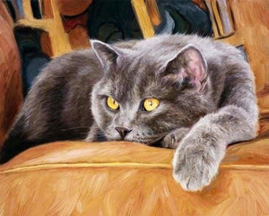 Pintar Por Números - Gato En El Sofá - Figuredart - Animales Gatos