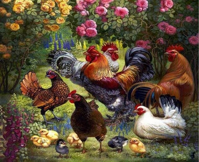 Pintar Por Números - La Familia Del Gallo - Figuredart - Animales Flores