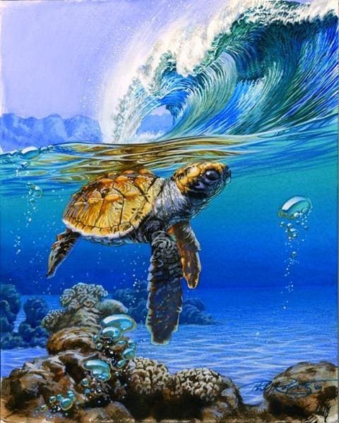 Pintar Por Números - Las Tortugas Marinas - Figuredart - Animales