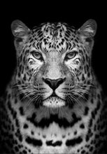 Cargar imagen en el visor de la galería, Pintar Por Números - Leopardo Gris - Figuredart - Animales