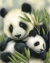 Cargar imagen en el visor de la galería, Pintar Por Números - Pareja De Panda - Figuredart - Animales Pandas