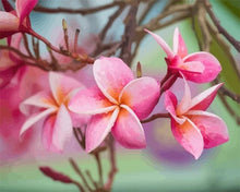 Cargar imagen en el visor de la galería, Pintar Por Números - Plumeria - Figuredart - Flores