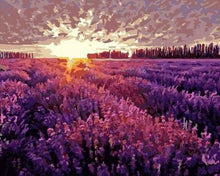 Cargar imagen en el visor de la galería, Pintar Por Números - Provenza Lavanda - Figuredart - Flores Paisajes