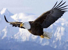 Cargar imagen en el visor de la galería, Punto De Cruz Diamante - Punto De Cruz Diamante - Águila En Vuelo - Figuredart - Mascotas Punto De Cruz Diamante Animales Águilas