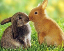 Cargar imagen en el visor de la galería, Punto De Cruz Diamante - Punto De Cruz Diamante - Conejos Pareja - Figuredart - Conejos Mascotas Punto De Cruz Diamante Animales