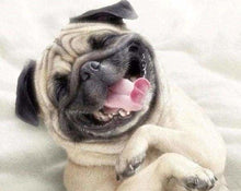 Cargar imagen en el visor de la galería, Punto De Cruz Diamante - Punto De Cruz Diamante - Dormido - Figuredart - Mascotas Punto De Cruz Diamante Animales