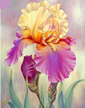 Cargar imagen en el visor de la galería, Punto De Cruz Diamante - Punto De Cruz Diamante - Iris Bicolor - Figuredart - Flores Punto De Cruz Diamante Flores