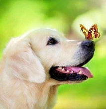 Cargar imagen en el visor de la galería, Punto De Cruz Diamante - Punto De Cruz Diamante - La Mariposa Y Labrador - Figuredart - Mariposas Mascotas Punto De Cruz Diamante Animales