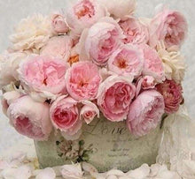 Cargar imagen en el visor de la galería, Punto De Cruz Diamante - Punto De Cruz Diamante - La Vida En Rosa - Figuredart - Flores Punto De Cruz Diamante Flores