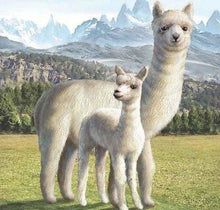 Cargar imagen en el visor de la galería, Punto De Cruz Diamante - Punto De Cruz Diamante - Lama - Figuredart - Mascotas Punto De Cruz Diamante Animales