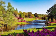 Cargar imagen en el visor de la galería, Punto De Cruz Diamante - Punto De Cruz Diamante - Paisaje - Figuredart - Paisajes Punto De Cruz Diamante Paisajes