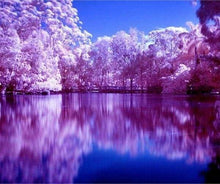 Cargar imagen en el visor de la galería, Punto De Cruz Diamante - Punto De Cruz Diamante - Reflexiones Sobre El Lago - Figuredart - Paisajes Punto De Cruz Diamante Paisajes